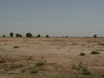 19078P1000923.JPG