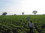 9330gt043b-croplland-rainfed-mixed-crops.gif
