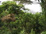15479IMG_4548.JPG