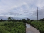 24854DSC01032.JPG