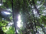 46349CIMG0638.JPG