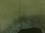 58266CIMG2713.JPG