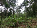 50929CIMG0419.JPG