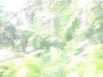49496CIMG5833.JPG