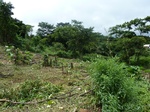 25672P1020089.JPG