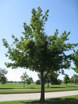 8730IMG_3897.JPG
