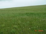 275922002-C1-2.JPG