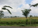 31195CIMG1057.JPG
