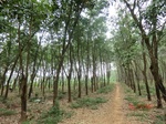 52958CIMG3993_调整大小.JPG