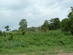 18318P1000154.JPG