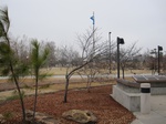 9764IMG_0041.JPG