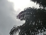 47898CIMG4235.JPG