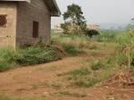 50362CIMG0991.JPG