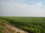 54327DSCN1601.JPG