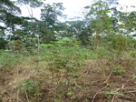 19897P1010747.JPG
