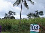 123940103d-rainfed-agriculture-tobacco-millet.gif