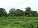 18713P1000551.JPG