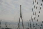 2024-08-05_13-37-54_25F4D86F-56C0-49B0-9ACF-3193C3B48192.jpeg