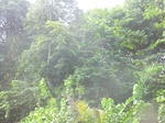 48502CIMG4839.JPG
