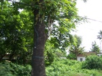 1696310052008(33).JPG
