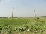 26095DSC01122.JPG
