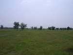 28233RIMG0232.JPG