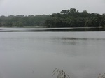 47744CIMG4081.JPG
