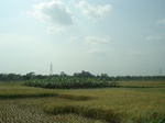 21813DSC08371.JPG