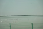 2024-08-05_14-43-42_D6435AE7-3B1D-4B29-9118-9076872185A2.jpeg