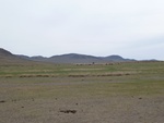 23136P1020654.JPG