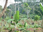 20126P1010977.JPG