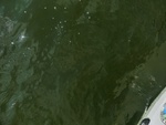 58067CIMG2361.JPG