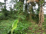 45262CIMG2347.JPG
