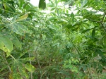 18288P1000124.JPG