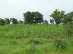 18746P1000584.JPG