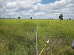 43730NSW005_L3.jpg
