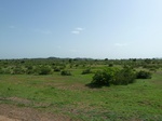 19306P1010152.JPG