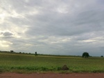 56064CIMG6753.JPG