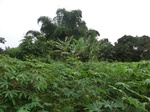 45793CIMG2878.JPG