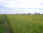 26170RIMG0222.JPG