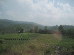 28310IMG_5121.JPG