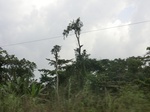 49881CIMG6218.JPG