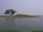 1552R0015225_tag.jpg