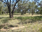 43141NSW003_L1.jpg