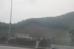 2024-08-05_13-37-58_01D37F83-7F28-4F7C-8D2C-29C1DE3F71C3.jpeg