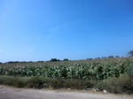 56322CIMG7069.JPG