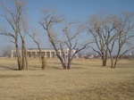 10069DSC02795.JPG