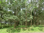 34875CIMG1546.JPG