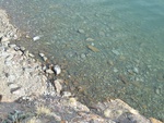 23100P1020612.JPG
