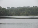 51003CIMG4079.JPG